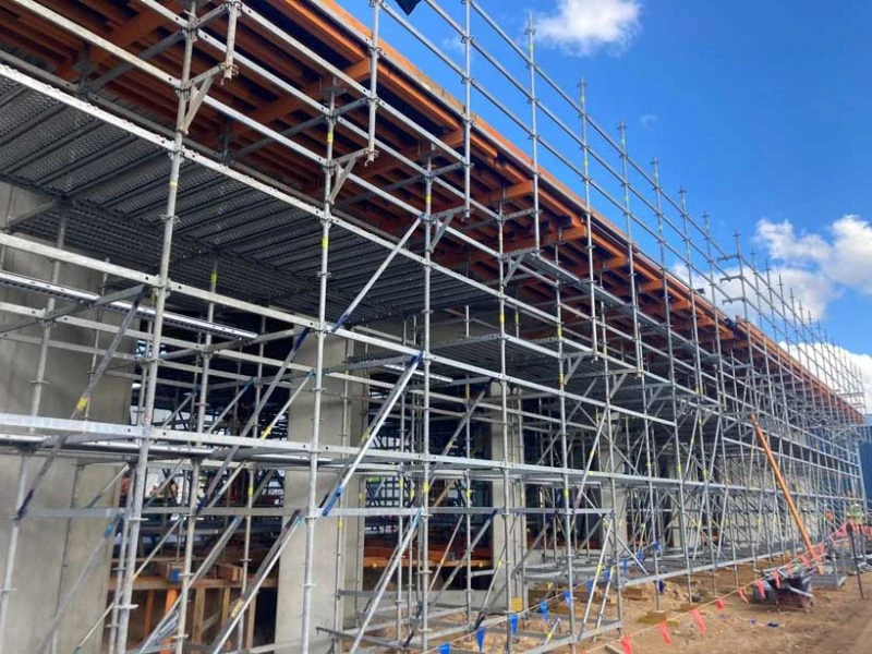Scaffolding and formwork supporting an elevated concrete structure